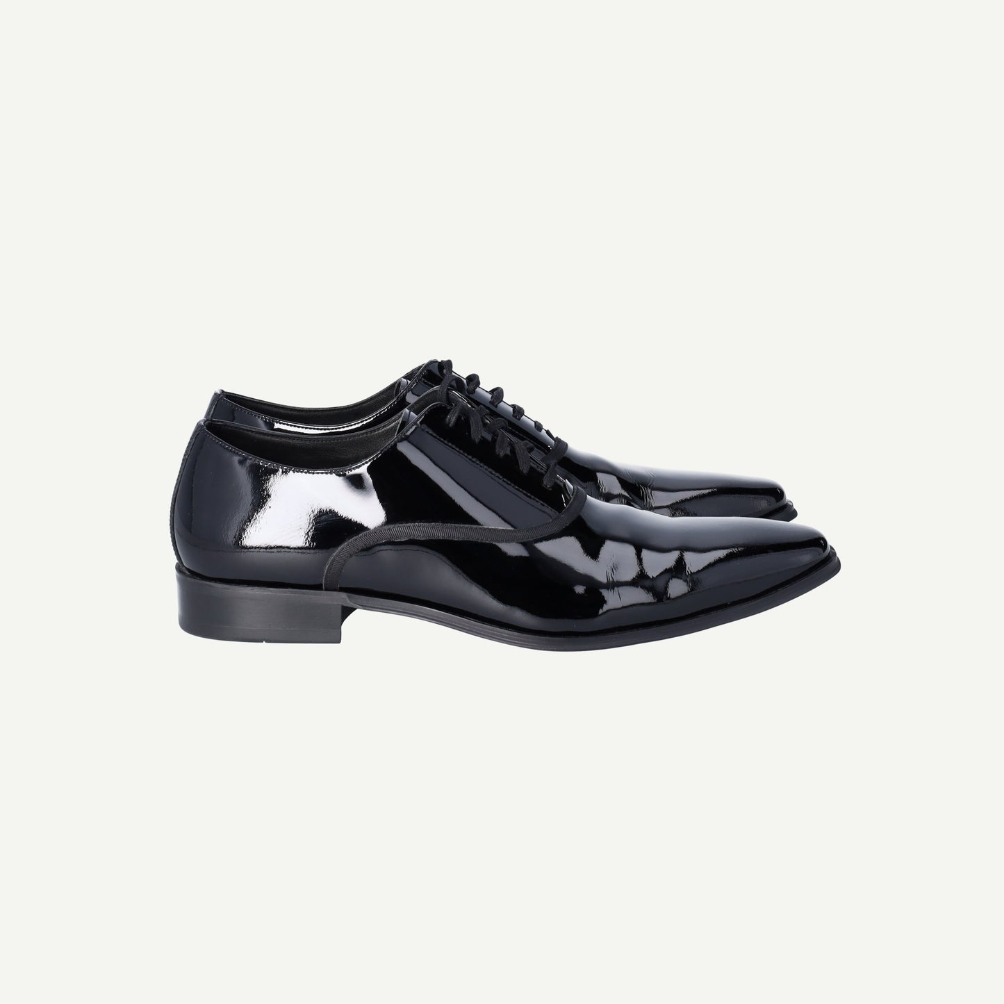 Swan Shoes