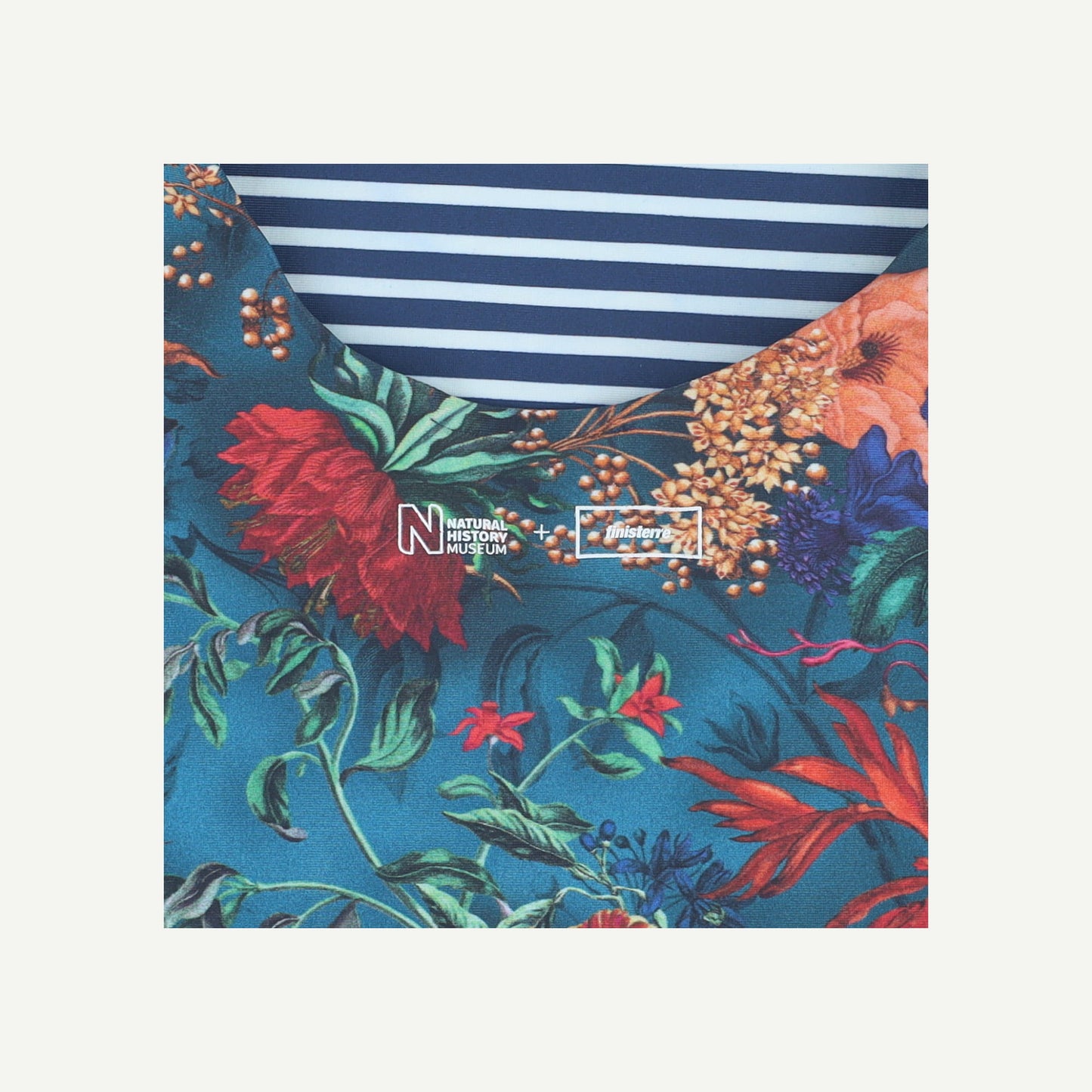 Finisterre X NHM Merian Swimsuit