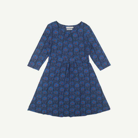 Kestrel Dress