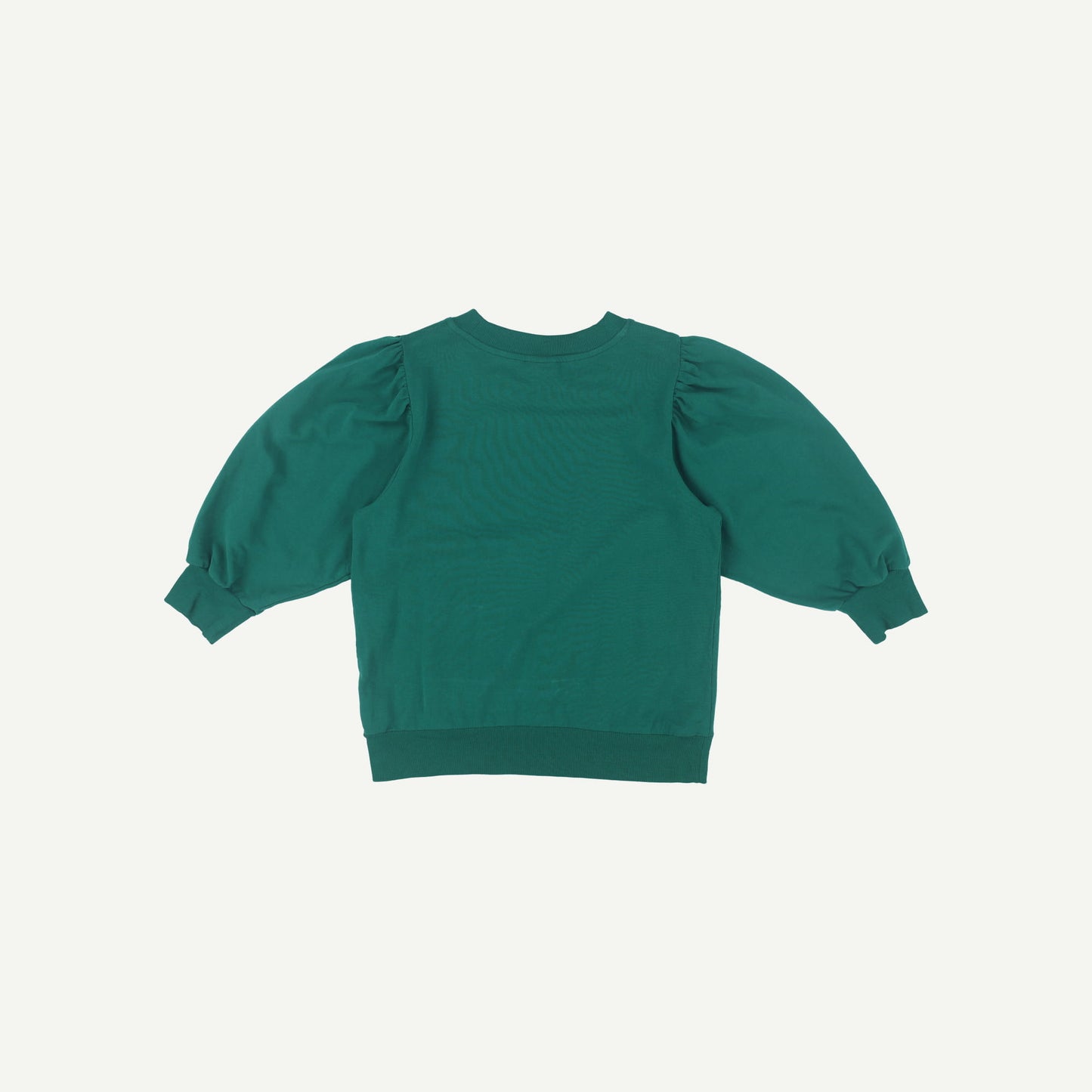 Puff  Sleeve Top
