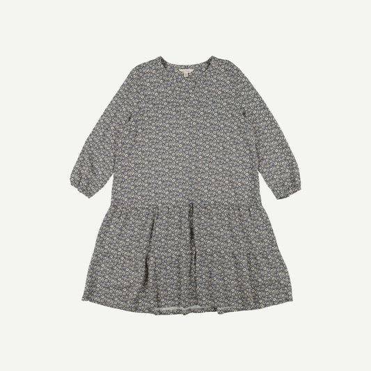 Proctor Dress