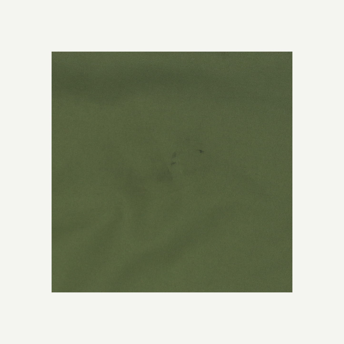 Rainbird Jacket