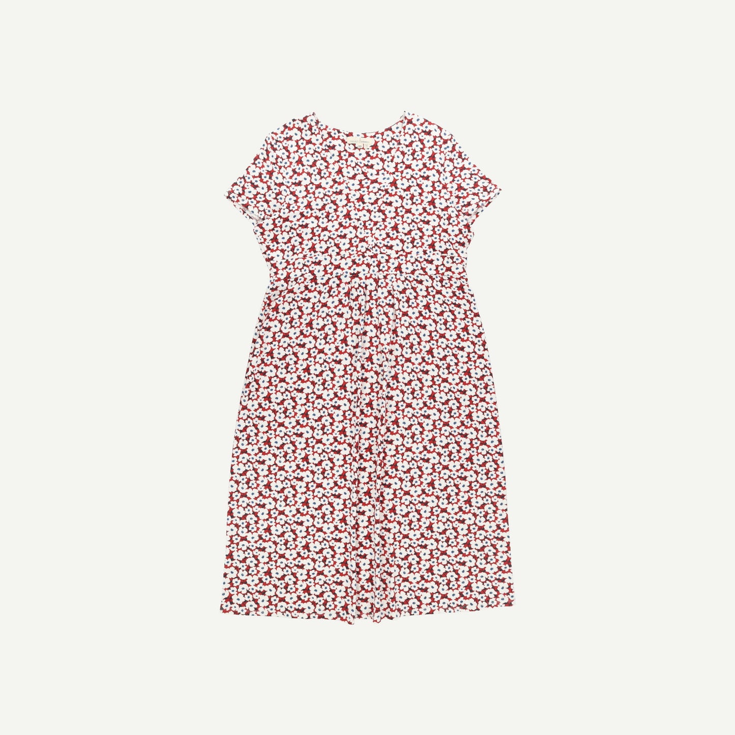 Seed Packet Dress