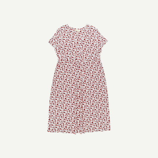 Seed Packet Dress