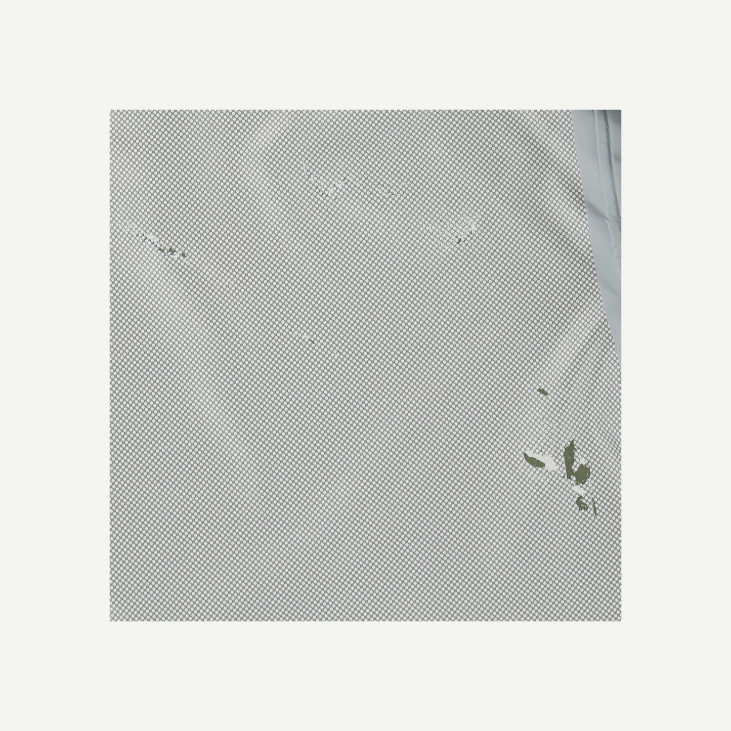 Rainbird Jacket