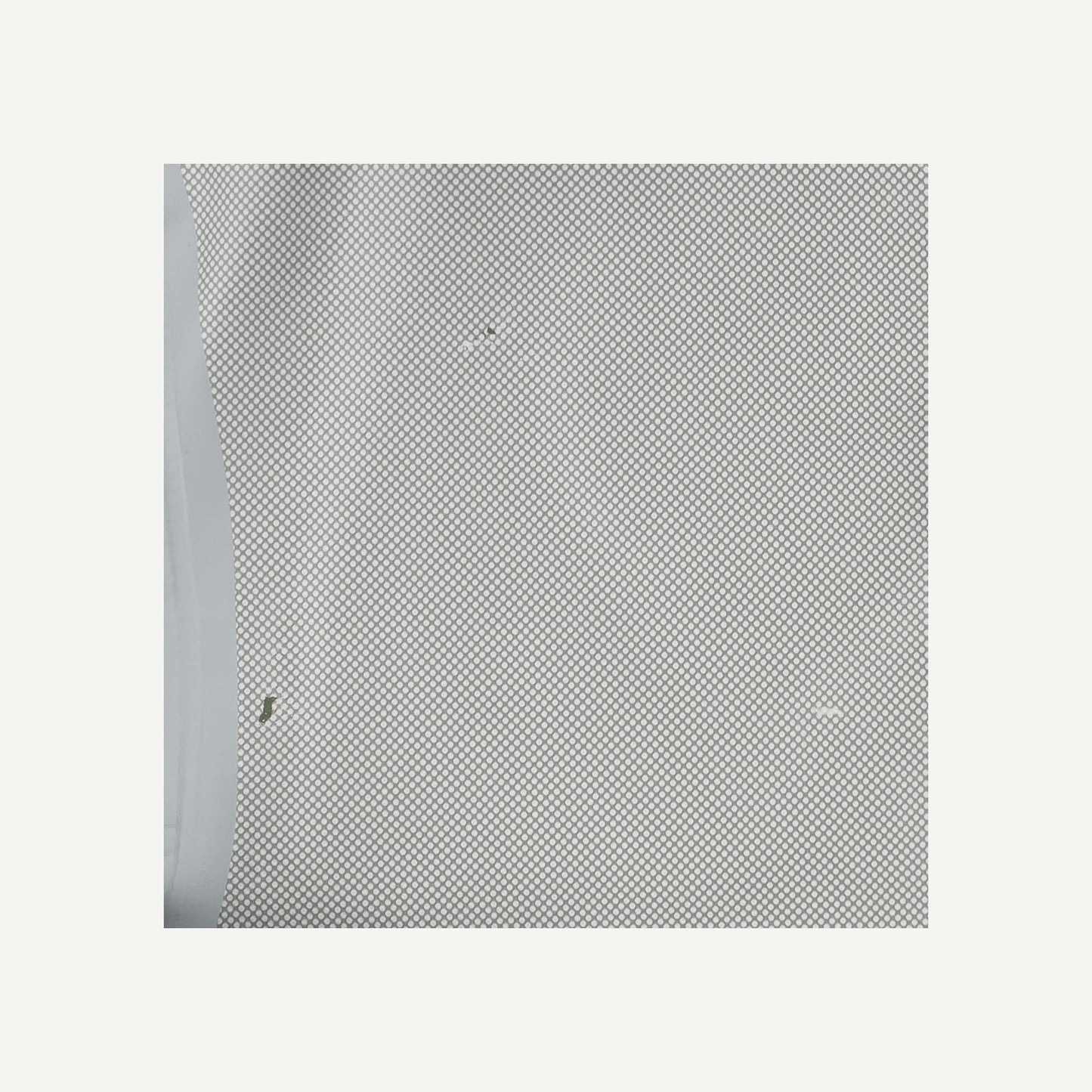 Rainbird Jacket